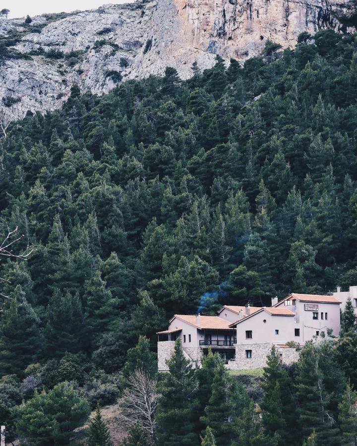 Guesthouse Vasiliki ستيني دهيرفيوس المظهر الخارجي الصورة